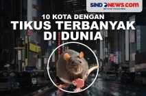 10 Kota dengan Jumlah...