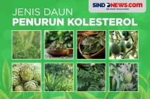 Delapan Jenis Daun untuk...