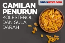 Camilan Sehat Penurun...
