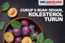 Camilan Penurun Kolesterol...