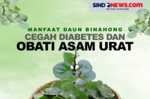 Cegah Diabetes dan Obati...