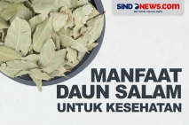 Manfaat Daun Salam untuk...