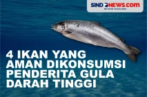 Penderita Gula Darah...