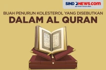 Buah Penurun Kolesterol...