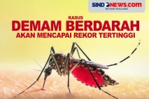 Kasus Demam Berdarah...