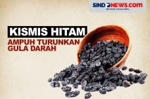 Kismis Hitam Ampuh Menurunkan...