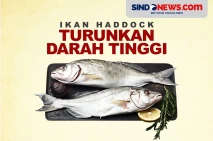 Ikan yang Menurunkan...