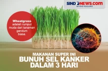 Makanan Ini Terbukti...