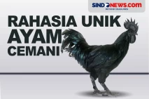 Rahasia Unik Bulu, Tulang...