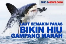 Laut Semakin Panas Bikin...