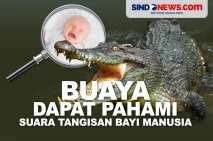 Ternyata Buaya Dapat...