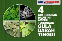4 Air Rebusan Daun Ini...