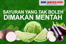 Sarang Penyakit, Berikut...