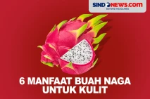 6 Manfaat Buah Naga...