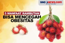 5 Manfaat Buah Rambutan,...