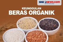 Beras Organik, Beda...