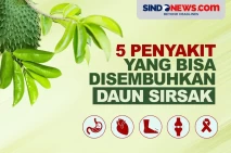 5 Penyakit yang Bisa...