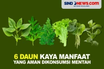 6 Daun Kaya Akan Manfaat...