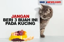 Berbahaya, Jangan Beri...