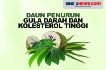 Ampuh, 7 Daun Ini Bisa...
