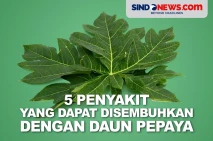 5 Penyakit yang Dapat...