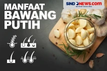Manfaat Bawang Putih...