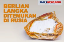 Berlian Langka Berukuran...
