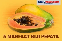 5 Manfaat Biji Pepaya,...