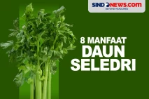 8 Manfaat Daun Seledri,...