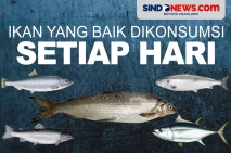 5 Jenis Ikan yang Sangat...