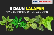 5 Daun Lalapan yang...