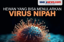 Waspada, Berikut Hewan...