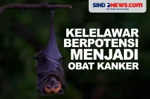Ilmuwan AS Yakin Kelelawar...
