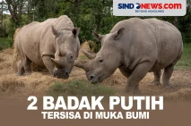 Di Ambang Kepunahan,...