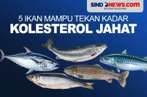5 Ikan Ampuh Tekan Kadar...