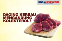 Daging Kerbau Mengandung...
