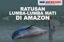 Suhu Panas di dalam...