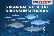 5 Ikan Paling Sehat...