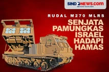 Rudal M270 MLRS, Senjata...