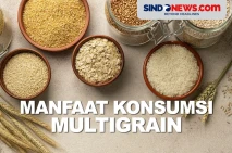 Manfaat Konsumsi Multigrain...