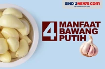 4 Manfaat Bawang Putih,...