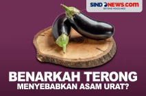 Apakah Terong Bisa Menyebabkan...