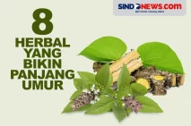 Terbukti Mujarab, 8...