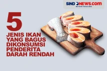 5 Jenis Ikan yang Bagus...