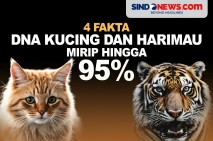 4 Fakta Kemiripan DNA...