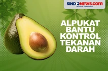 Manfaat Alpukat, Bisa...