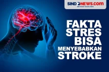 Fakta Stres Bisa Menyebabkan...