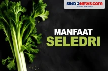 Manfaat Seledri yang...