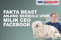 Fakta Menarik Beast,...