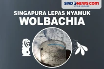 Perangi Demam Berdarah,...